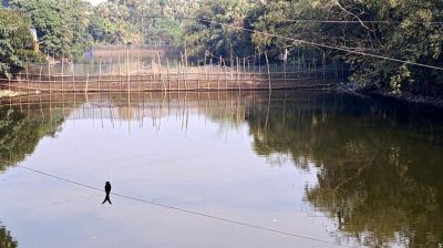 চাঁদপুরে সাড়ে ৩শ’ কিলোমিটার সেচ খাল বেদখল, ক্ষতিগ্রস্ত কৃষকেরা