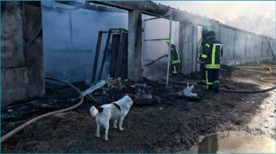 ইউক্রেনের বন্দরে রুশ ক্ষেপণাস্ত্র হামলা, নিহত ৭