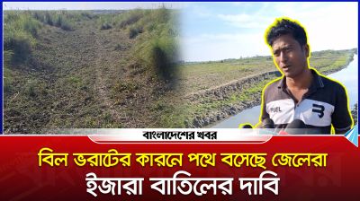 বিল ভরাটের কারনে পথে বসেছে জেলেরা, ইজারা বাতিলের দাবি