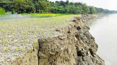 গড়াই নদীর ভাঙনে আতঙ্কে কুমারখালী, নদীগর্ভে বিলীন ফসলি জমি