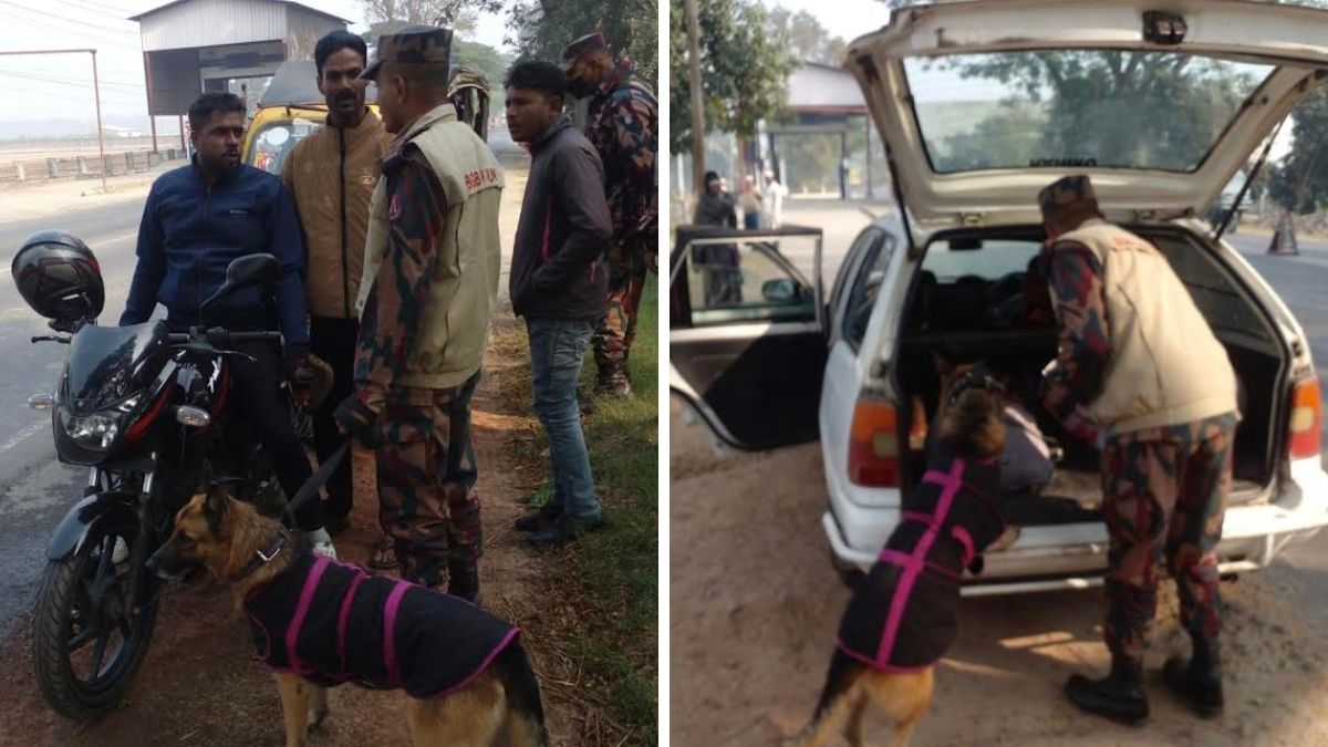 এনসিপি নেতা গুলির ঘটনায় যশোর সীমান্তে তল্লাশি-টহল জোরদার