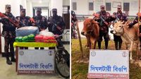 লালমনিরহাট সীমান্তে ভারতীয় গরু ও অন্যান্য মালামাল জব্দ