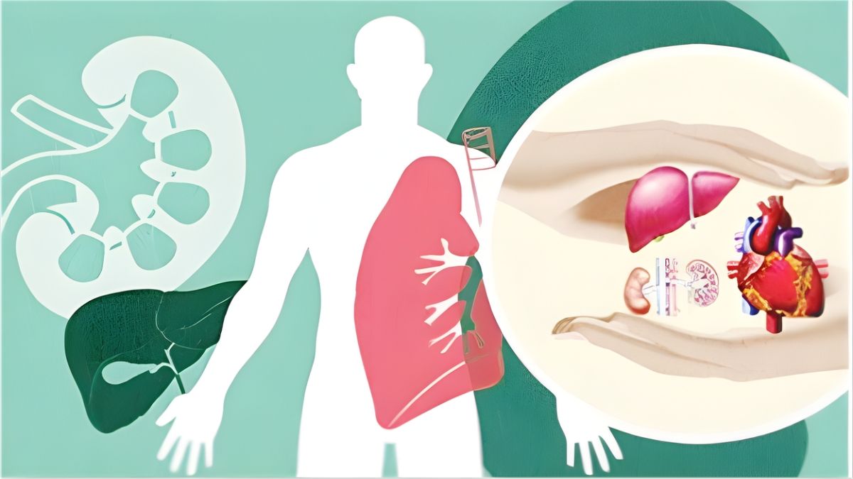 বাংলাদেশের আইন ও সামাজিক বাস্তবতা