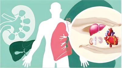 বাংলাদেশের আইন ও সামাজিক বাস্তবতা