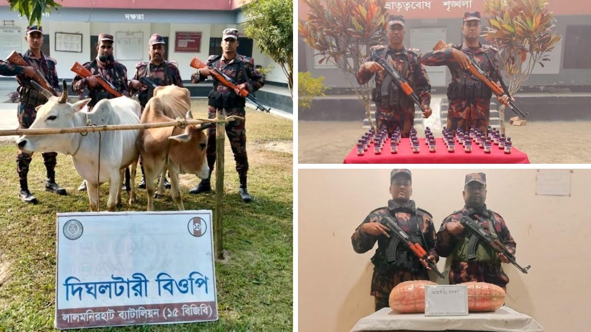 লালমনিরহাট সীমান্তে বিজিবির অভিযানে ভারতীয় গরু, গাঁজা ও স্কাপ সিরাপ জব্দ