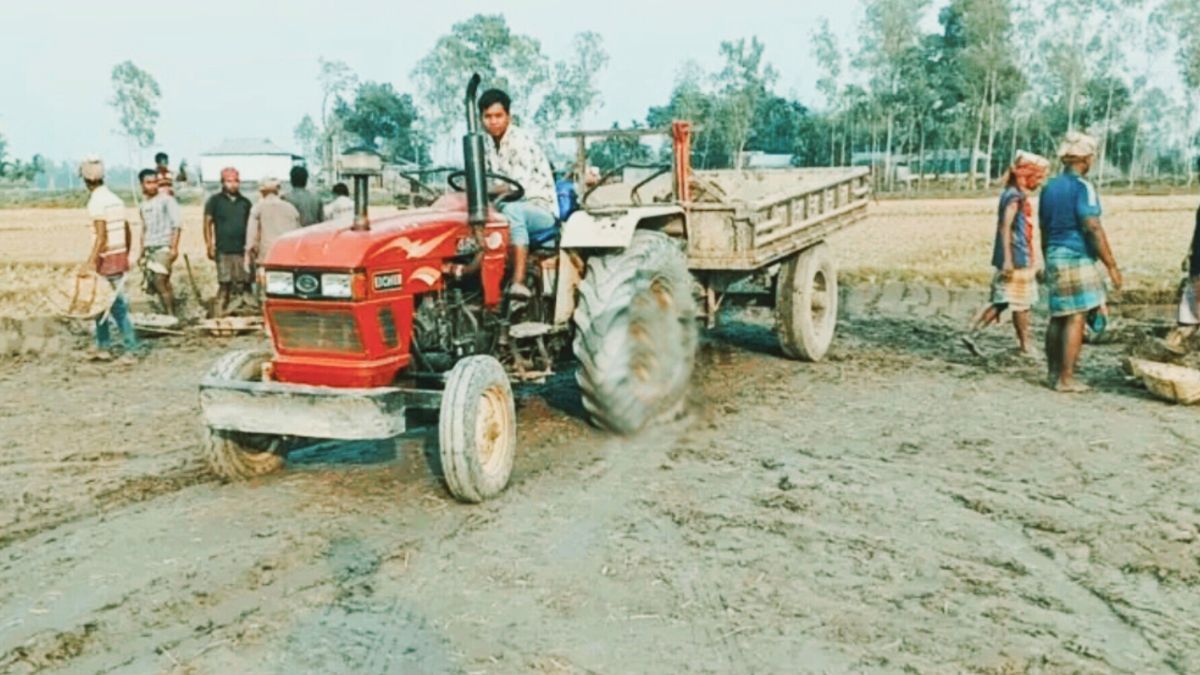 লালমনিরহাটে ইটভাটার থাবায় ধ্বংস ফসলি জমি