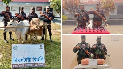 লালমনিরহাট সীমান্তে বিজিবির অভিযানে ভারতীয় গরু, গাঁজা ও স্কাপ সিরাপ জব্দ