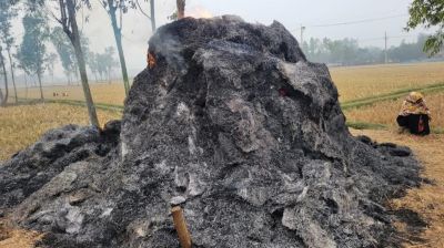 শেরপুরে পৃথক স্থানে খড়ের পালায় আগুন, পুড়ে ছাই ৩৭ বিঘা জমির খড়