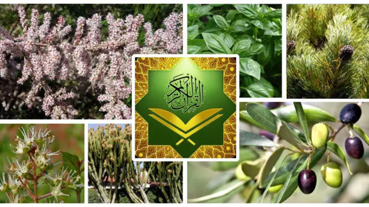 গাছপালা, ফলমূল ফসলে আল্লাহর নিদর্শন রয়েছে