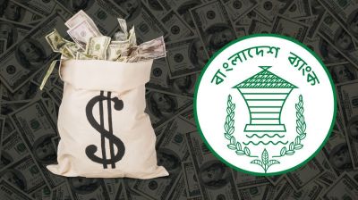 দেশের রিজার্ভ দাঁড়িয়েছে ৩৩.১৮ বিলিয়ন ডলারে