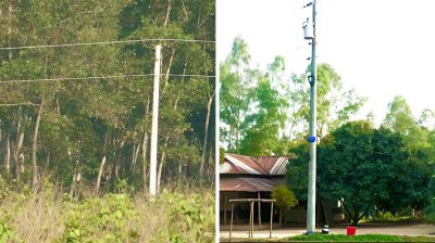 গারো পাহাড়ে বেআইনি বিদ্যুৎ সংযোগের অভিযোগ, হুমকিতে বন্যপ্রাণী