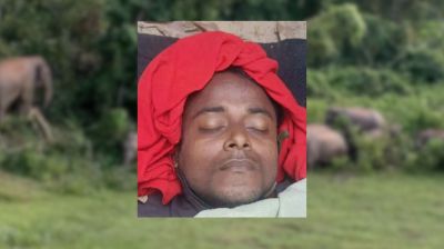 নাইক্ষ্যংছড়িতে বন্য হাতির আক্রমণে টিউবওয়েল মিস্ত্রির মৃত্যু