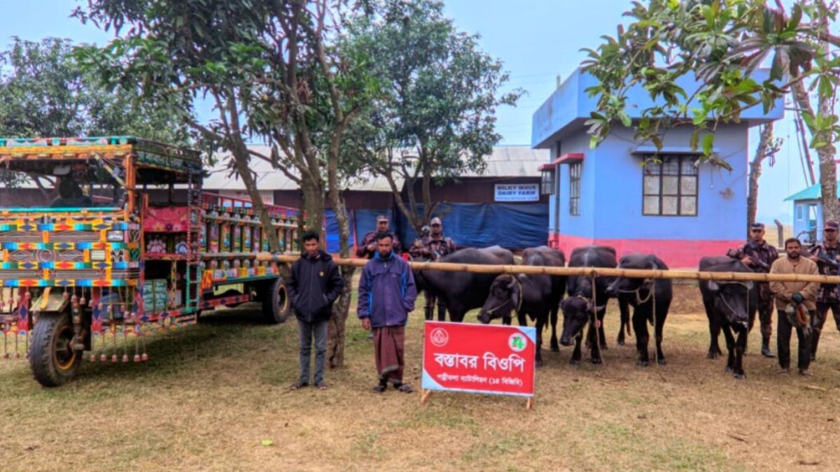 ভারতীয় মহিষ ও ভটভটিসহ ৪ চোরাকারবারী আটক