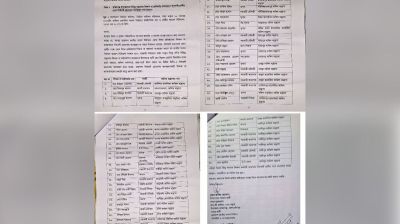 'আচরণ বিধি লঙ্ঘন' করে মাদ্রাসা শিক্ষকদের নির্বাচনী প্রচারণা, স্বতন্ত্র প্রার্থীর অভিযোগ