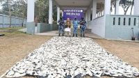 চাঁদপুরে পিকআপ ভ্যান থেকে ৩৭মণ জাটকা জব্দ