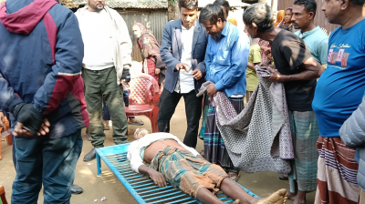 শেরপুরের বন্য হাতির পায়ে পিষ্ট হয়ে কৃষকের মৃত্যু