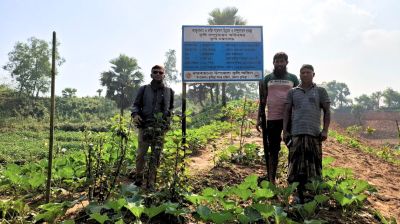 কুমিল্লায় পাহাড়ি অনাবাদি জমিতে মিশ্র ফলের বাগান