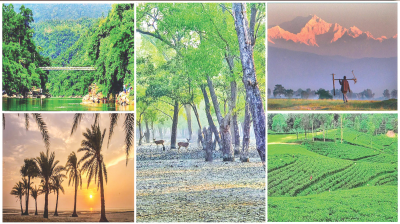 পৃথিবী দেখার আনন্দময় শিক্ষা