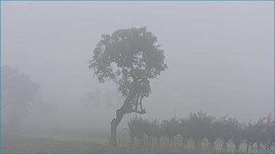 টানা শৈত্যপ্রবাহে পঞ্চগড়ে জনজীবন স্থবির