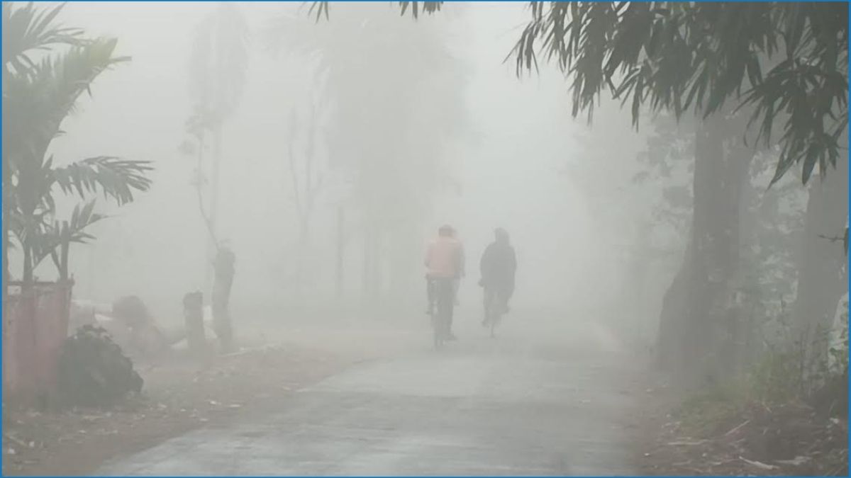 মাঘের বাঘ কাঁপানো শীতের শুরু, ৭ ডিগ্রিতে তাপমাত্রা