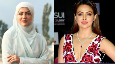 অভিনয় ছাড়ার আসল কারণ জানালেন সানা খান