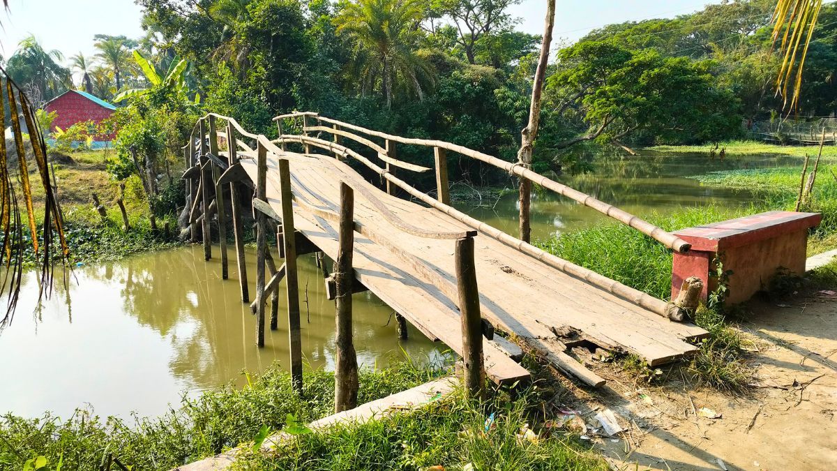 চরফ্যাসনে নড়বড়ে কাঠের ব্রিজে ঝুঁকিপূর্ণ পারাপার, আতঙ্কে ১৫০ পরিবার