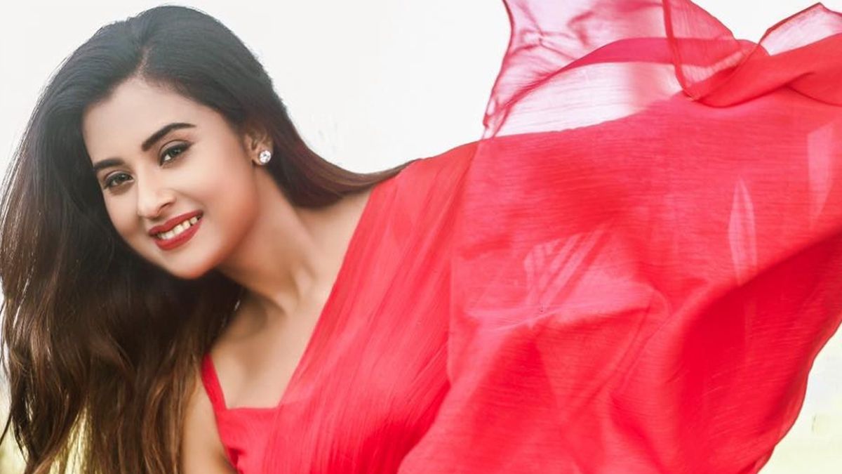 আবারও মা হওয়ার গুঞ্জন! যে জবাব দিলেন বুবলী