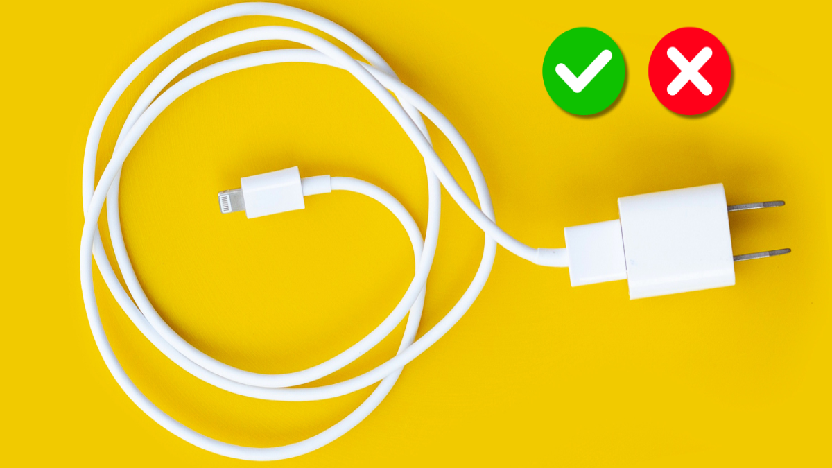 নকল চার্জারের ভিড়ে আসলটি চিনবেন কীভাবে?