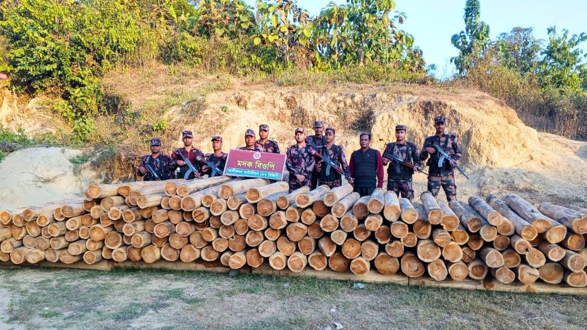 বান্দরবনের দুর্গম এলাকায় অবৈধ কাঠ পাচার চক্রের মজুদ জব্দ