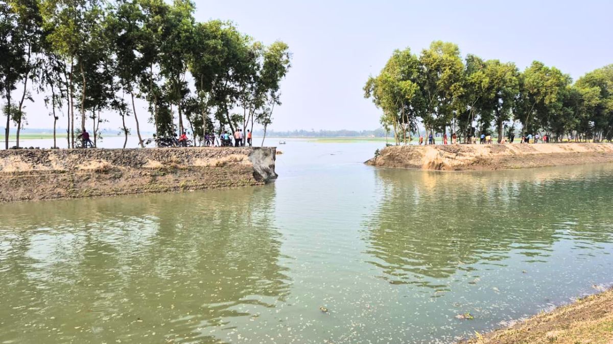 নীলফামারীতে সেচ ক্যানেলের বাঁধ ভেঙে শতশত একর ফসলি জমি প্লাবিত