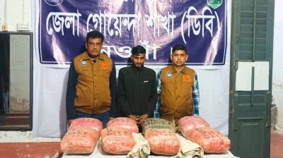 নওগাঁয় পিকআপ থেকে ৪২ কেজি গাঁজা উদ্ধার, চালক আটক