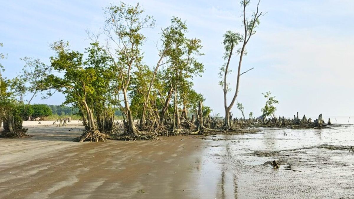পর্যটনে নতুন সম্ভাবনা তারুয়া দ্বীপ