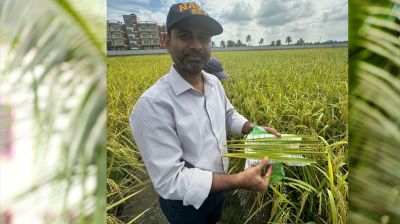 পবিপ্রবির উদ্ভিদ রোগতত্ত্ব বিভাগের চেয়ারম্যান হলেন অধ্যাপক রুবেল