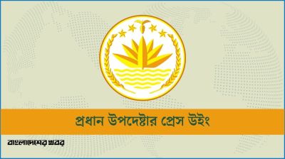 নির্বাচন ও গণভোটে আসছেন ৩৩০ বিদেশি পর্যবেক্ষক