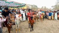 লোহাগাড়ায় ১৩০ বছরের ঐতিহ্যবাহী ঘোড়দৌড় প্রতিযোগিতা অনুষ্ঠিত