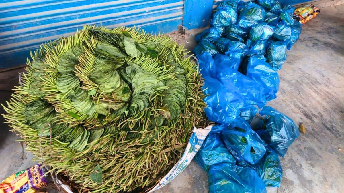 পান-সুপারি বিতরণের অভিযোগে ধানের শীষ কর্মীর কারাদণ্ড