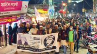 আলফাডাঙ্গায় দাঁড়িপাল্লা প্রতীকের প্রার্থীর সমর্থনে গণমিছিল