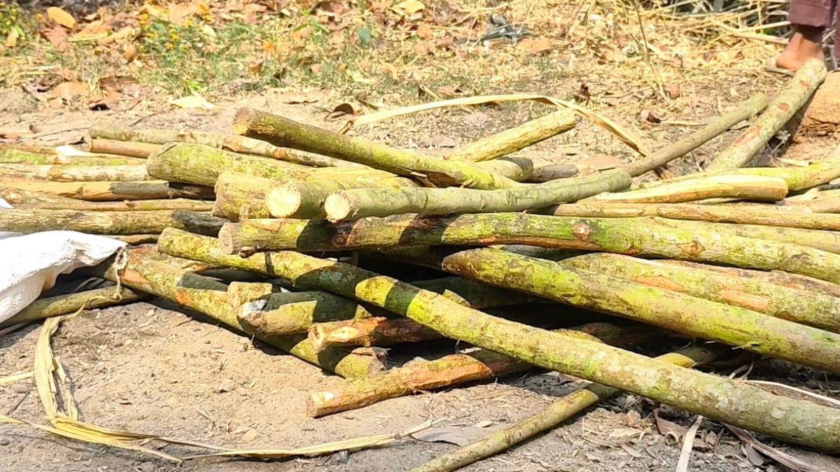 ঠাকুরগাঁওয়ে ভোটকেন্দ্রের পাশের পুকুর থেকে লাঠিসোঁটা উদ্ধার