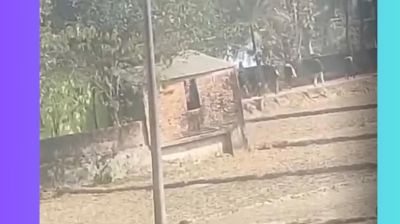 ভোটের আগের দিন রাউজানে প্রবাসী বিএনপি কর্মীর বাড়িতে গুলি