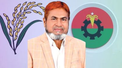 মির্জাপুরে ২৯ বছর পর নিরঙ্কুশ জয় পেলেন বিএনপির কালাম