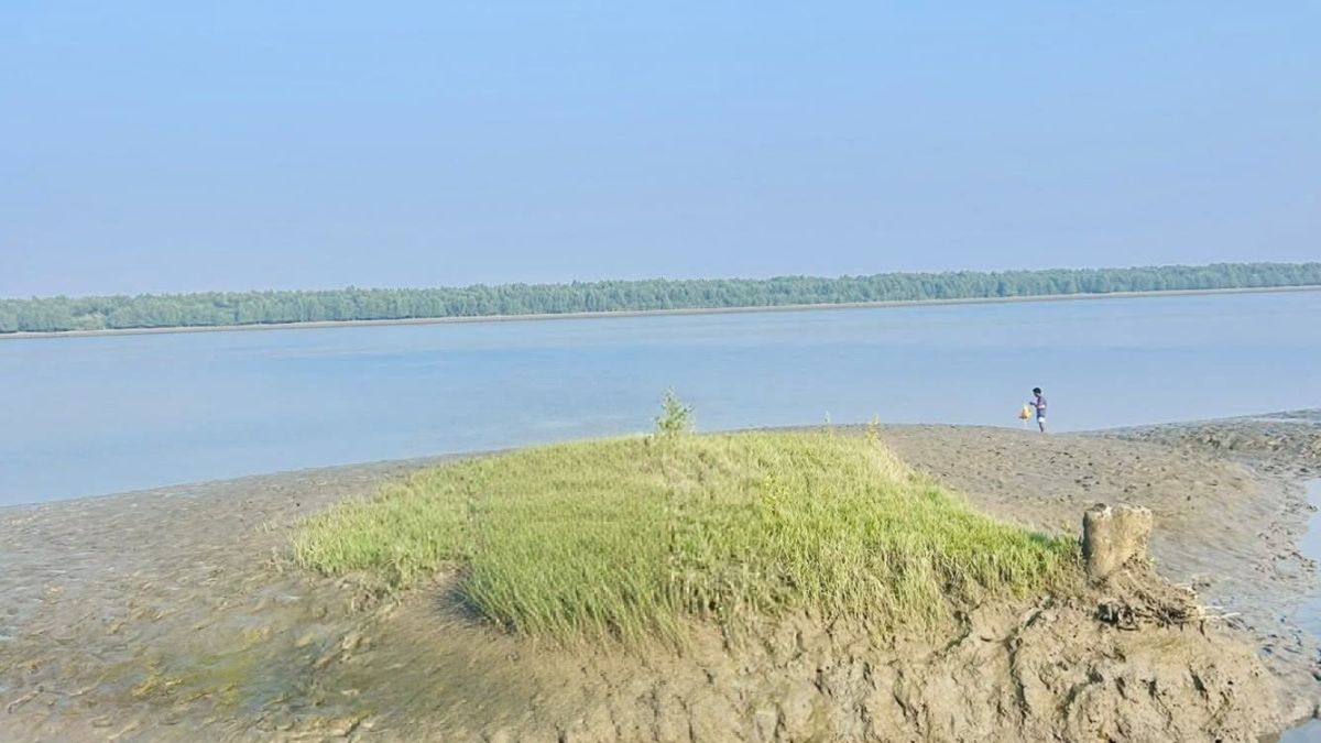 নাফ নদীর জলসীমা থেকে আবারো পাঁচ জেলেকে ধরে নিয়ে গেল আরাকান আর্মি