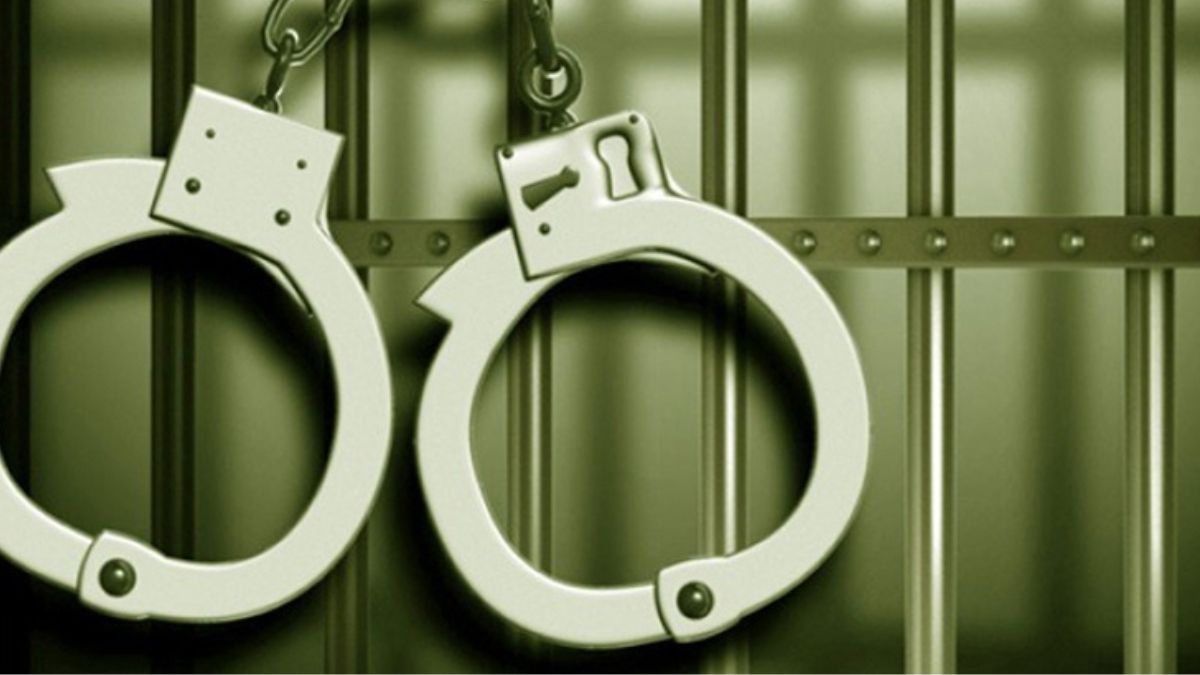 সখীপুরে নানীকে হত্যার অভিযোগে নাতি গ্রেপ্তার