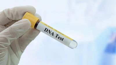 চুয়াডাঙ্গা সীমান্তে অর্ধ কোটি টাকার ডিএনএ পরীক্ষার কিট জব্দ