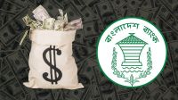 দেশের রিজার্ভ বাড়ল