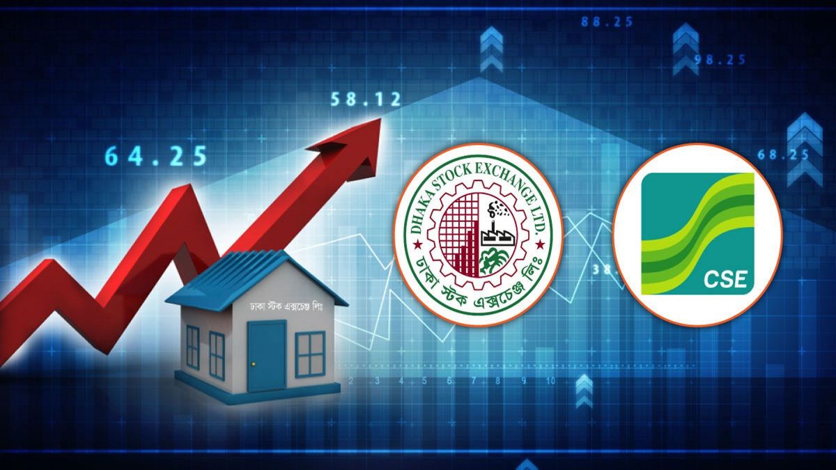 দুর্বল হচ্ছে কোম্পানি, লাভ কমছে বিনিয়োগকারীর