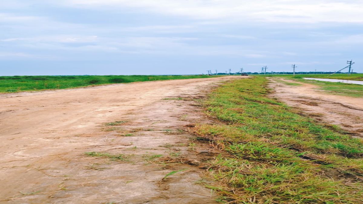মদনে ফসল রক্ষা বাঁধের বিল না   পেয়ে বিপাকে বাঁধ সংস্কার কমিটি