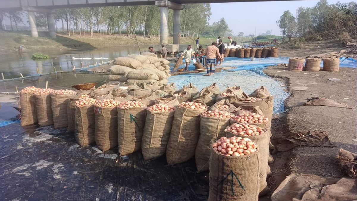 ফুলবাড়ীতে বস্তার সংকটে   পড়ে যাচ্ছে আলুর দাম