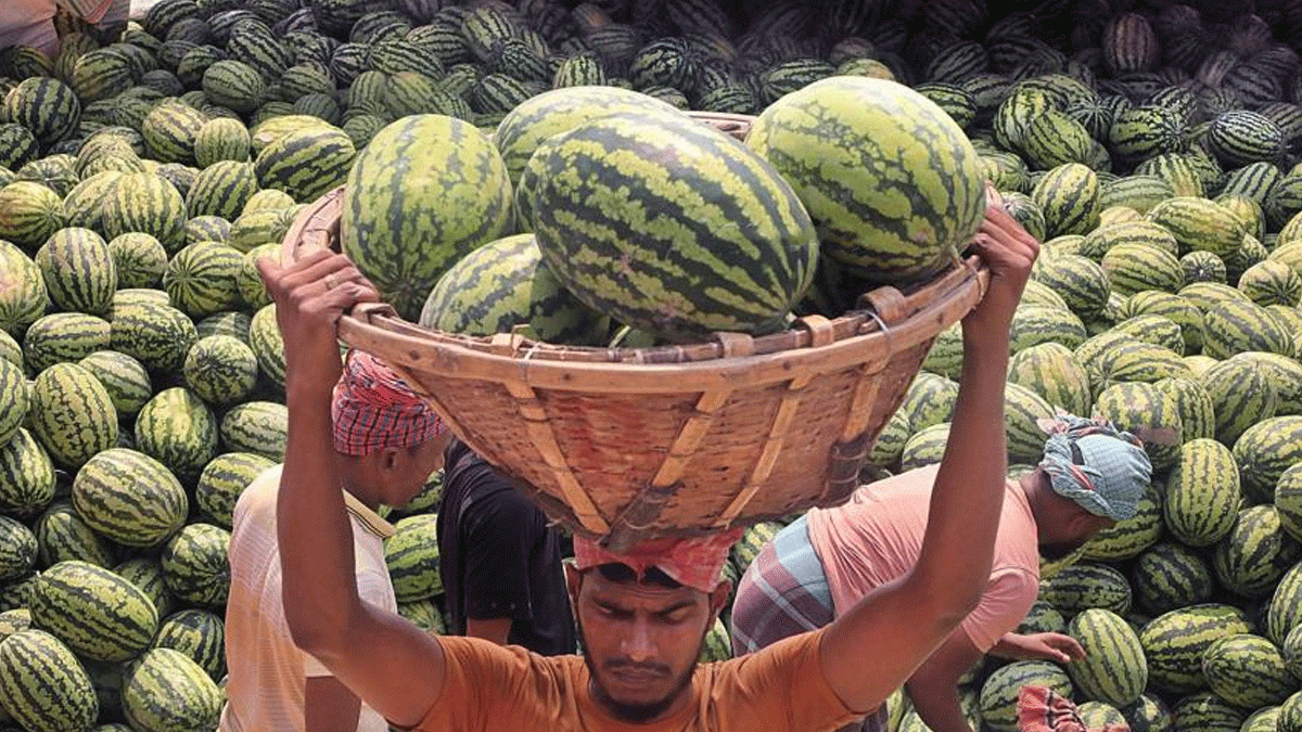 ভালো তরমুজ কিনতে চান?