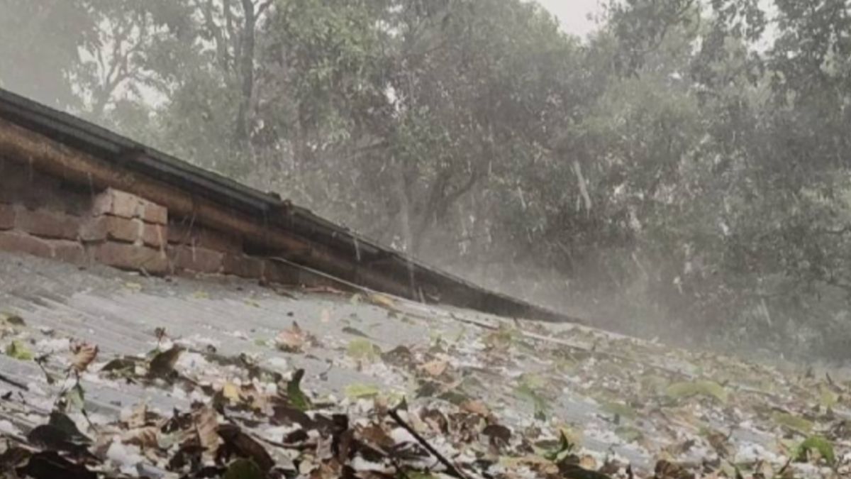 চাঁপাইনবাবগঞ্জে শিলাবৃষ্টিতে আমসহ  ফসলের ব্যাপক ক্ষতি