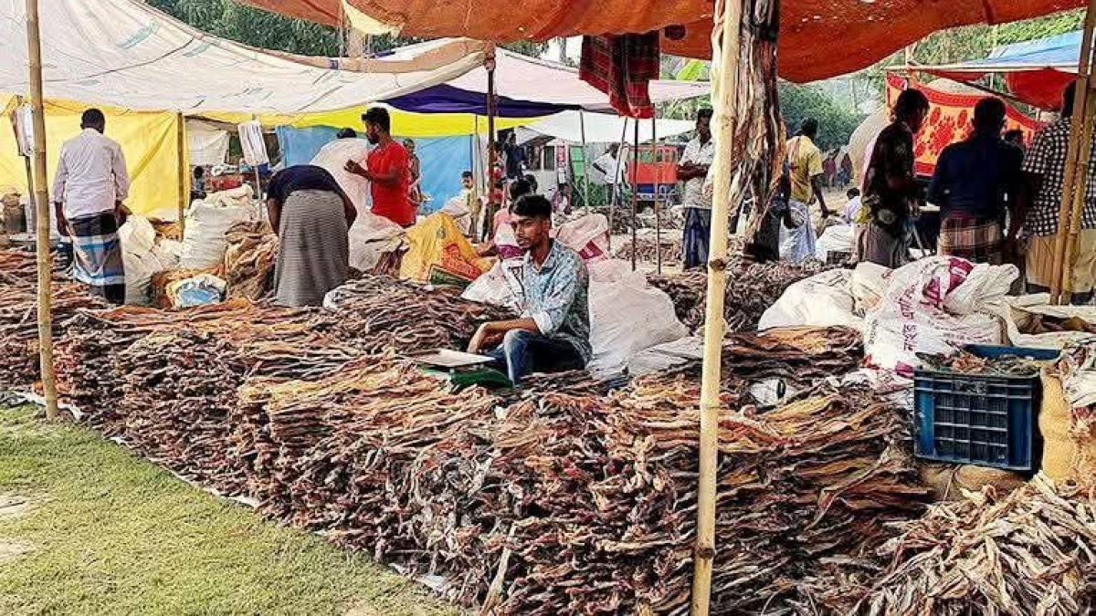 ব্রাহ্মণবাড়িয়ায় বসেছে শতাব্দীপ্রাচীন  শুটকির মেলা